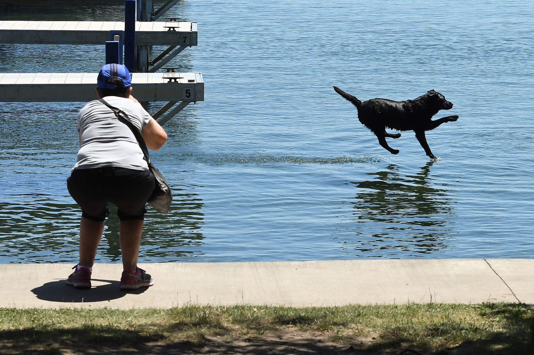 Fetch 3